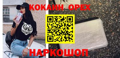 молекула духа Кулебаки