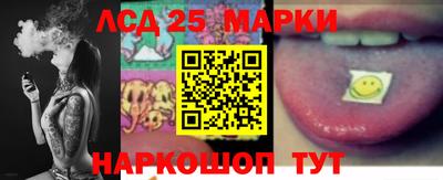 молекула духа Кулебаки
