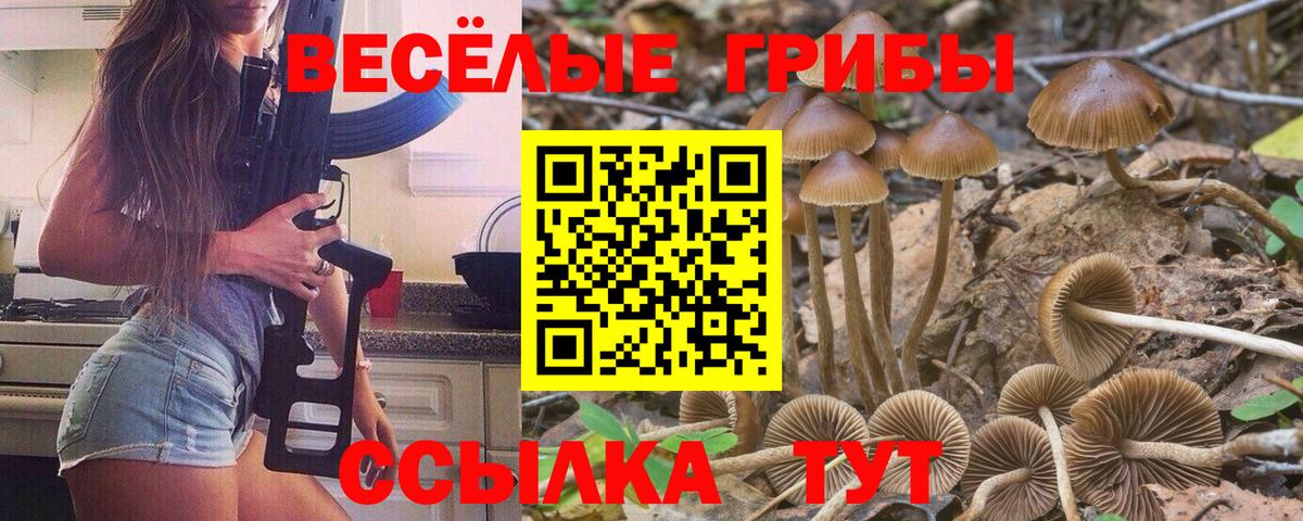 Карпинск  Псилоцибиновые грибы Cubensis  Вход с VPN  Галлюциногенные грибы Psilocybine cubensis 