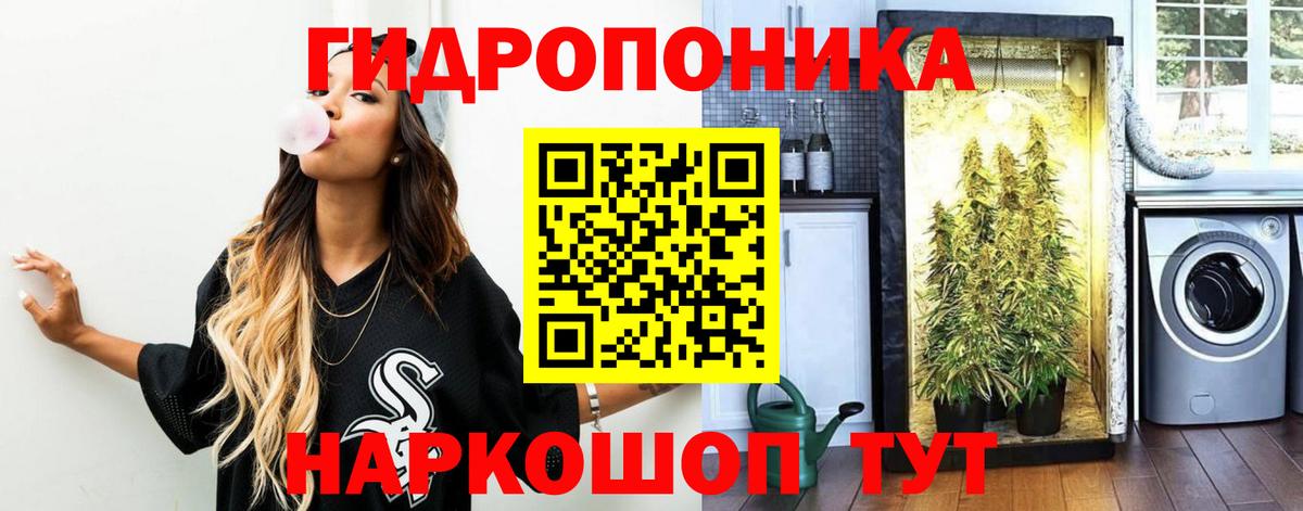 Шишки марихуана конопля Карпинск